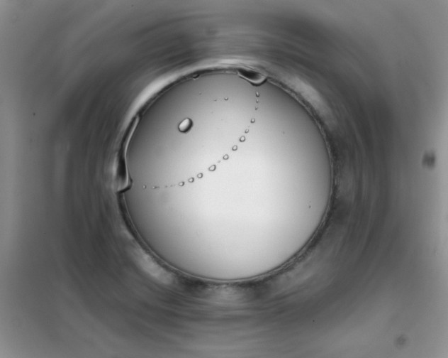 X0000101981420200808011049