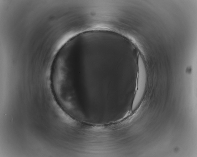 X0000101981422200808011049