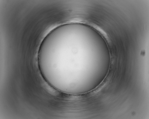 X0000101981423200808011049