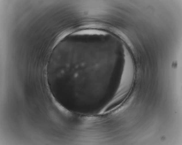 X0000101981425200808011049