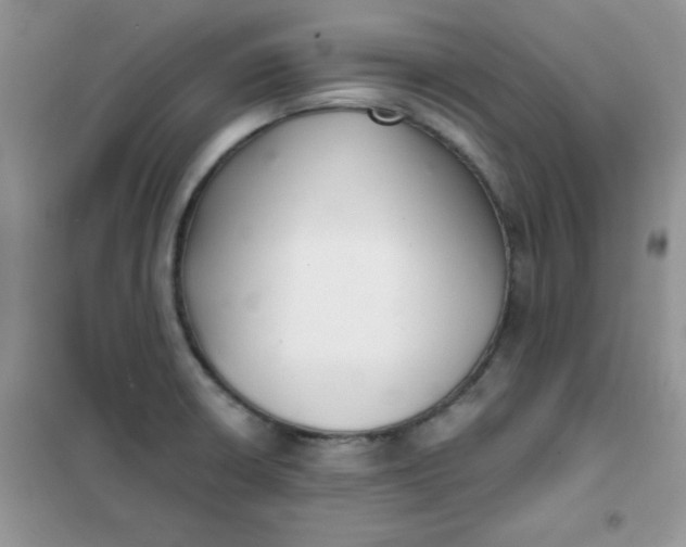 X0000101981426200808011049