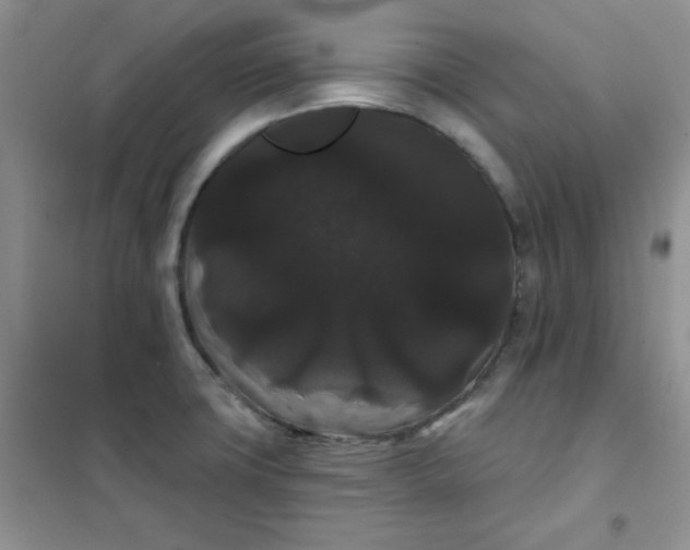 X0000101981427200808011049