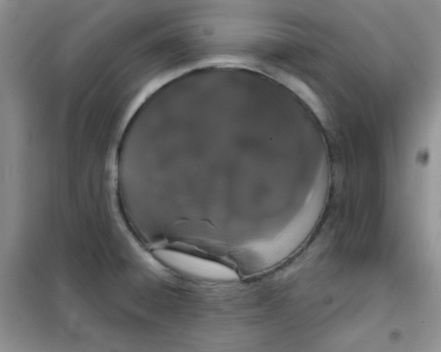 X0000101981428200808011049