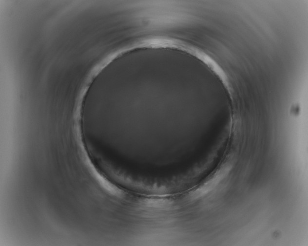 X0000101981429200808011049