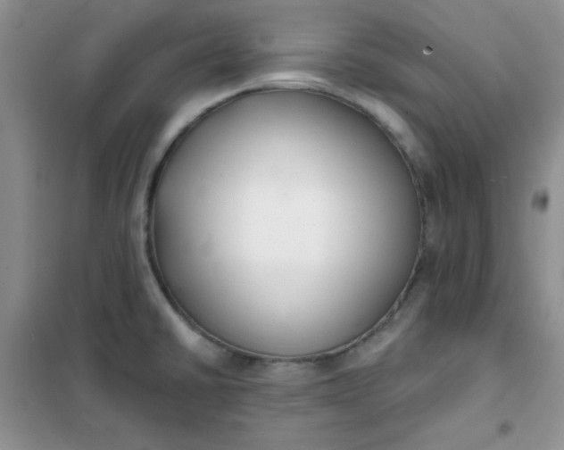 X0000101981430200808011049