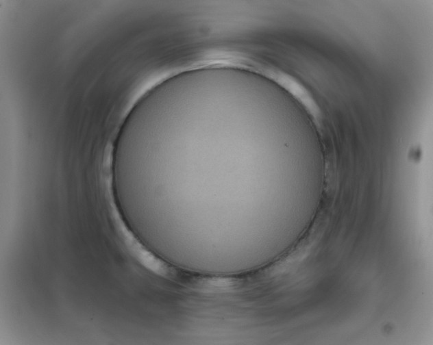 X0000101981431200808011049