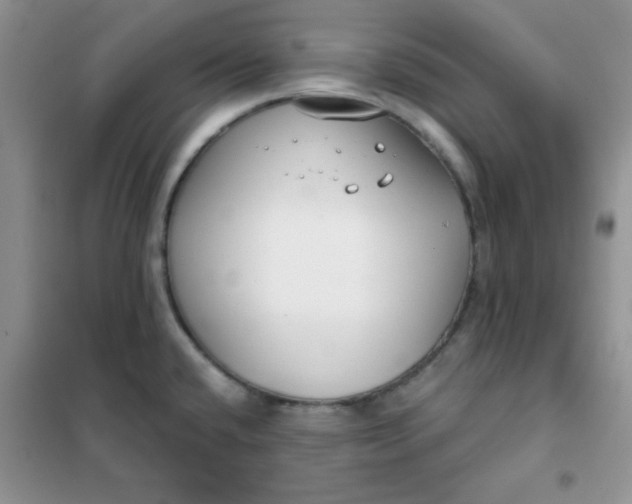 X0000101981432200808011049