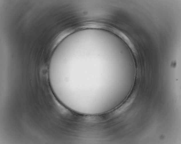 X0000101981433200808011049