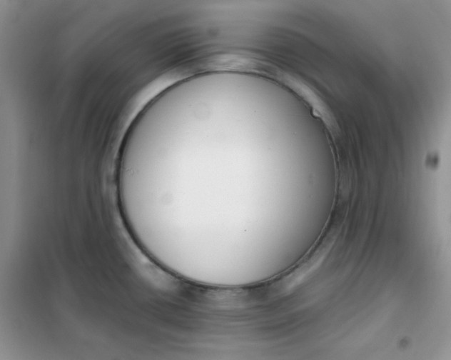 X0000101981434200808011049