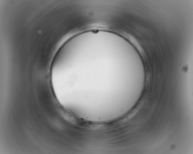 X0000101981435200808011049