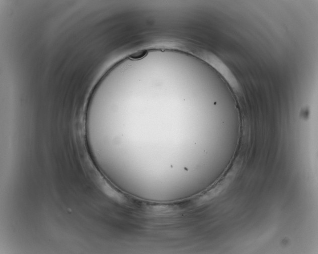 X0000101981436200808011049