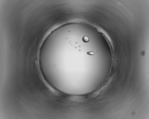 X0000101981437200808011049