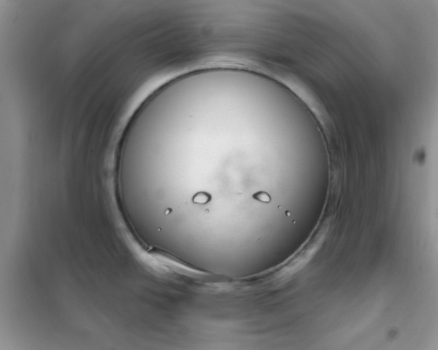 X0000101981438200808011049