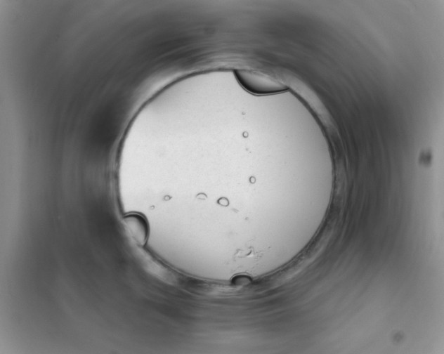 X0000101981439200808011049