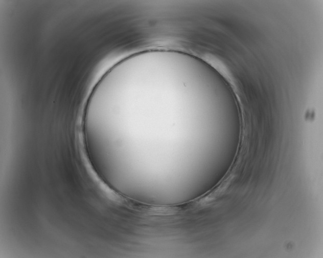 X0000101981440200808011049