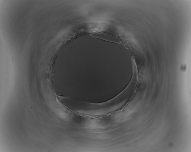 X0000101981441200808011049