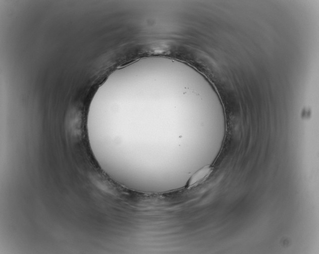 X0000101981442200808011049