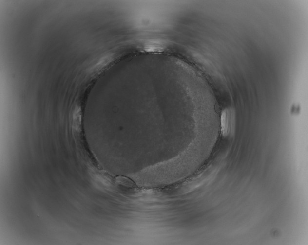 X0000101981443200808011049