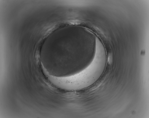 X0000101981444200808011049