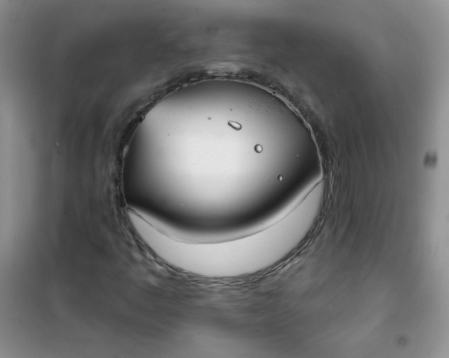 X0000101981445200808011049