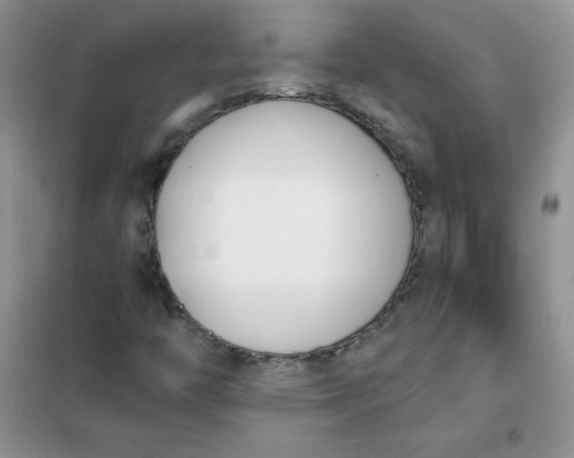 X0000101981446200808011049