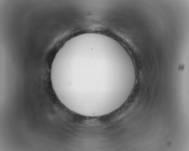 X0000101981447200808011049