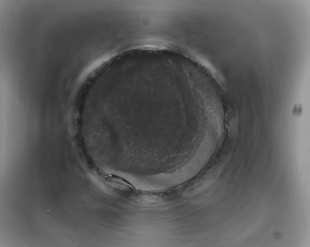 X0000101981448200808011049