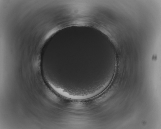 X0000101981450200808011049