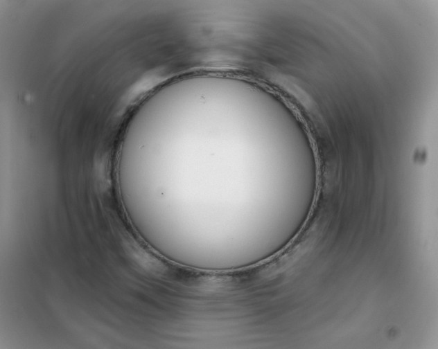 X0000101981451200808011049