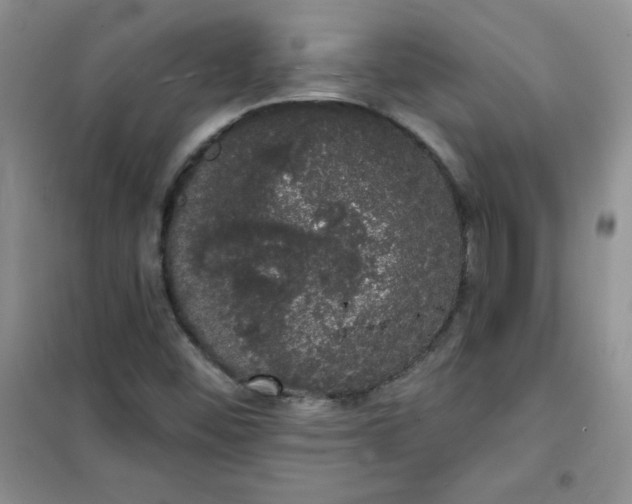 X0000101981452200808011049