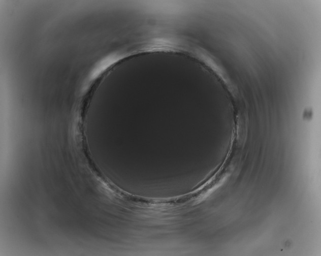 X0000101981453200808011049