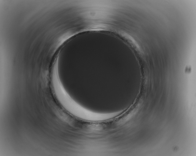 X0000101981457200808011049