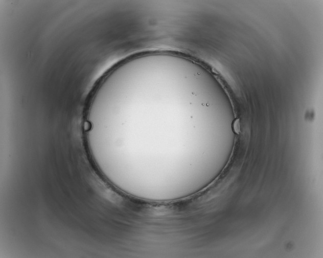 X0000101981460200808011048