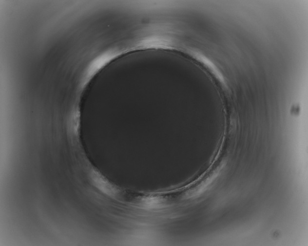 X0000101981461200808011048