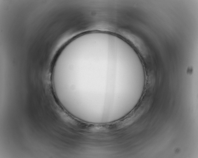 X0000101981462200808011048