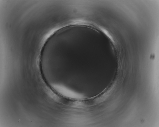 X0000101981463200808011048