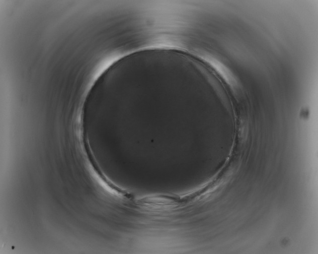 X0000101981468200808011048