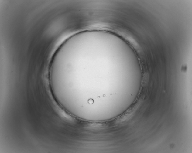 X0000101981470200808011048