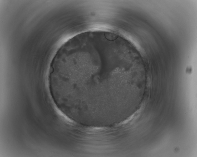 X0000101981471200808011048