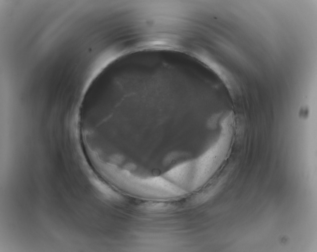 X0000101981474200808011048