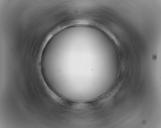 X0000101981475200808011048