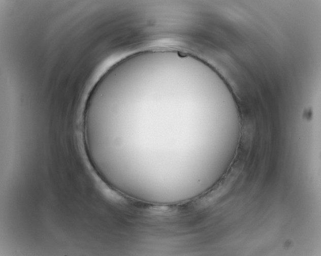 X0000101981478200808011048