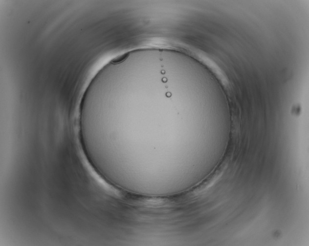 X0000101981479200808011048