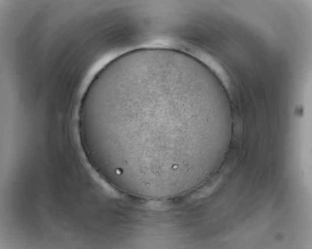 X0000101981480200808011048