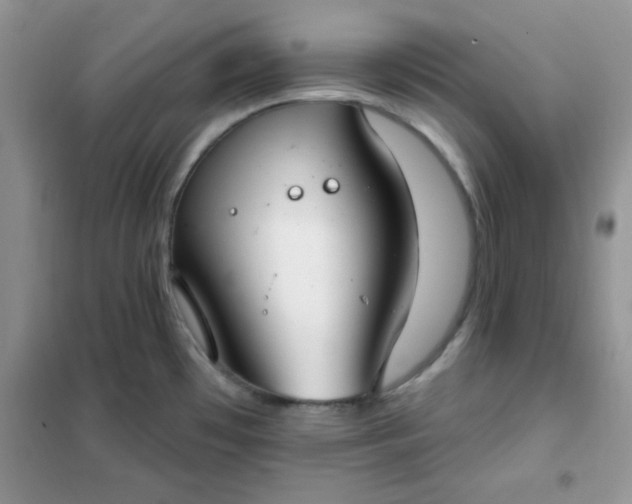 X0000101981481200808011048