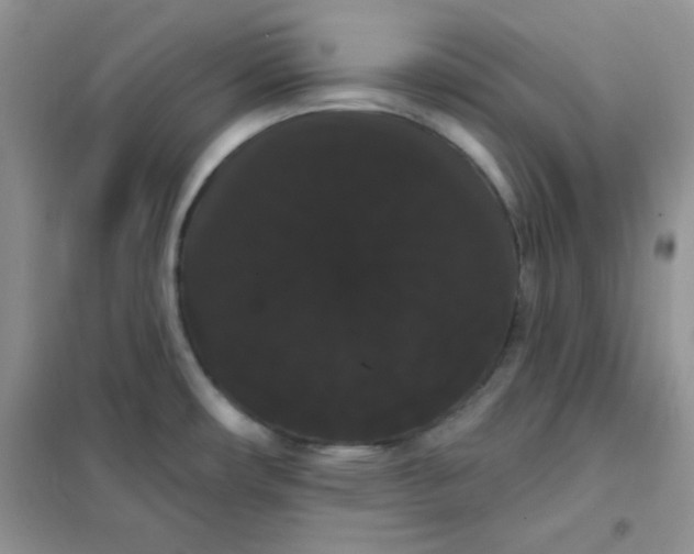 X0000101981482200808011048