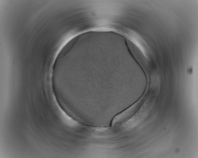 X0000101981484200808011048