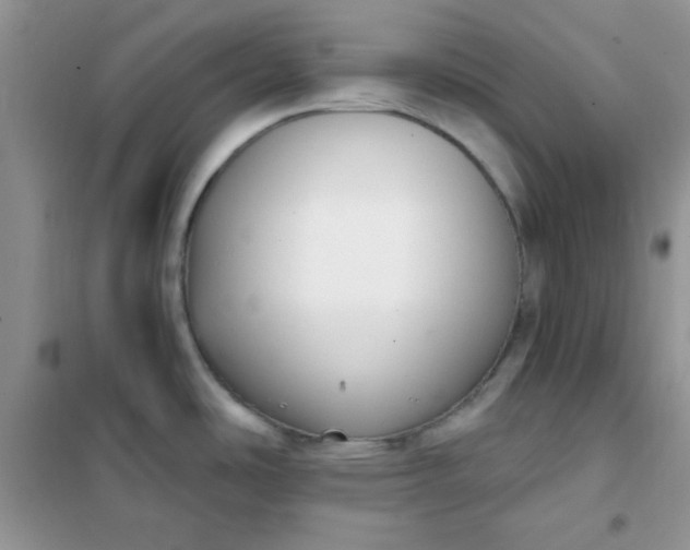 X0000101981486200808011048