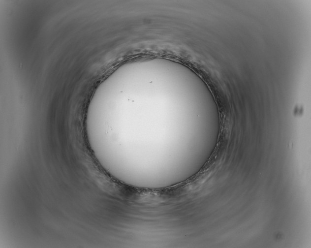 X0000101981489200808011047