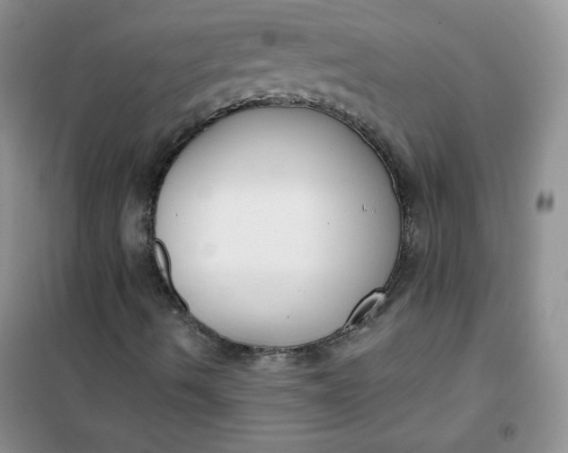 X0000101981490200808011047